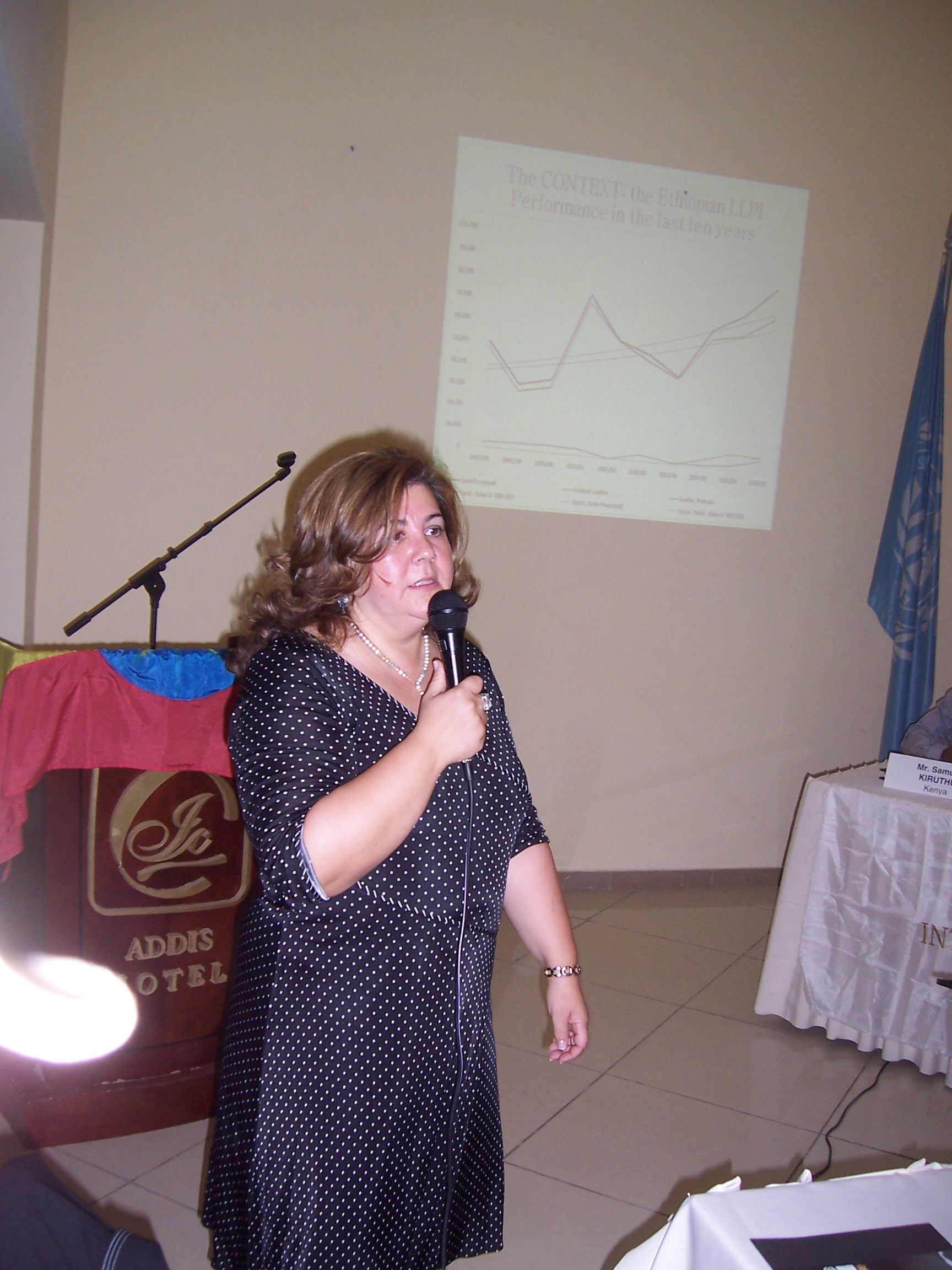 17th UNIDO Leather and Leather Products Panel