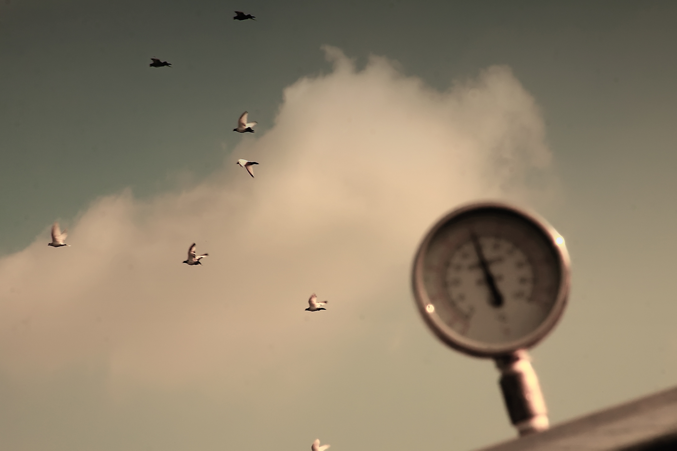 Detail of the thermometer UNIDO renewable energy in tanning industry solar water heating