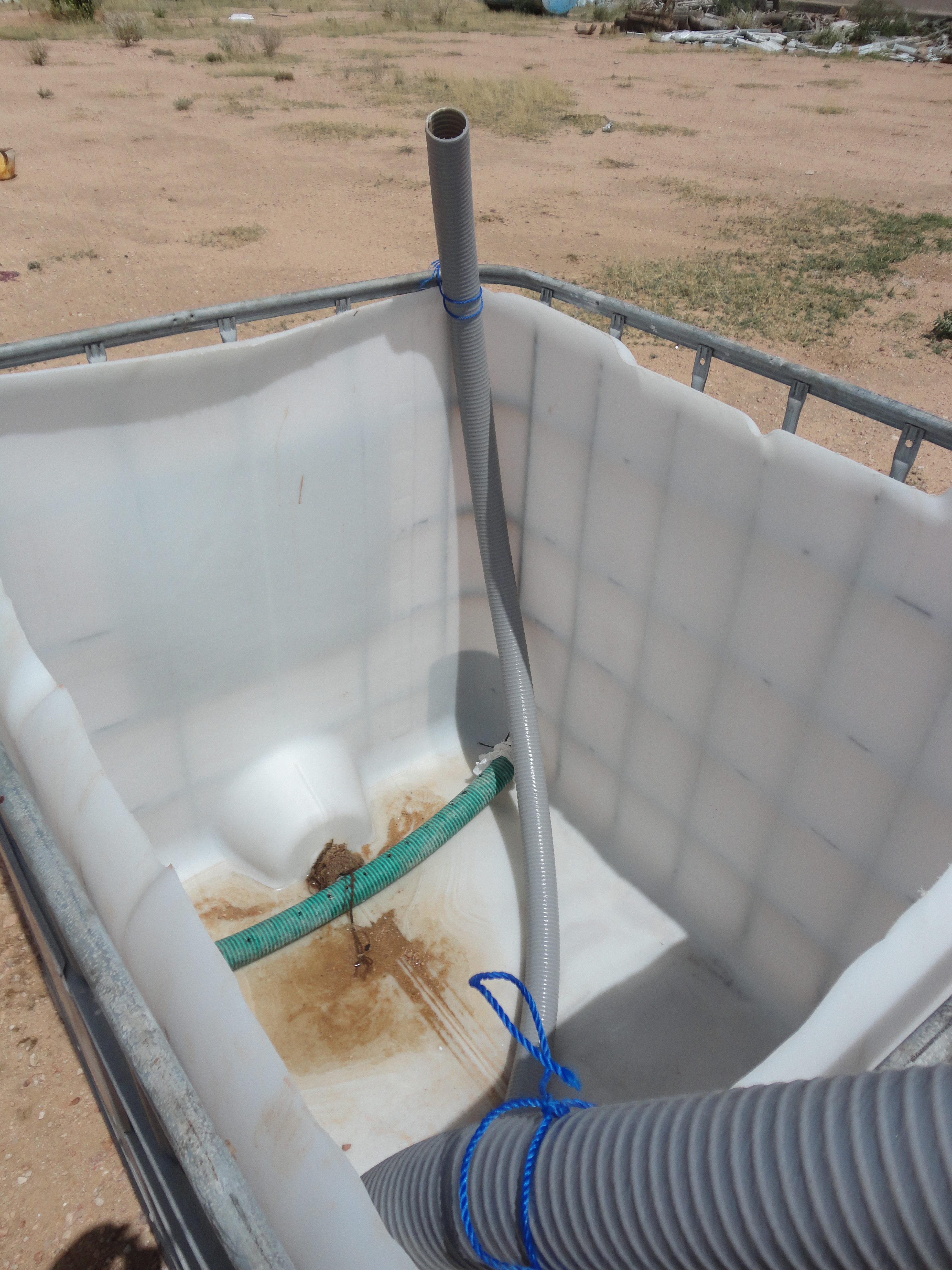 Reed beds were tested to enhance existing treatment