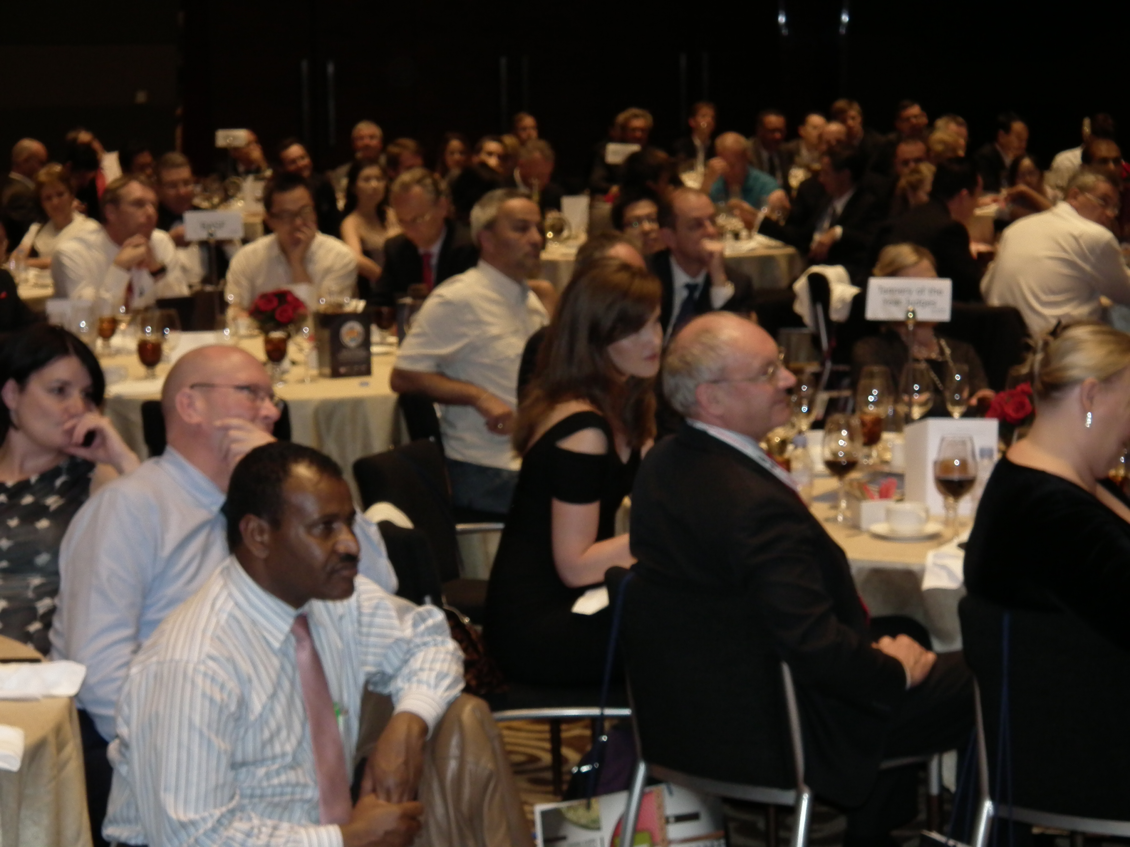 Tannery of the Year 2014 - Gala dinner (Credit: R. Daniels/World Leather)
