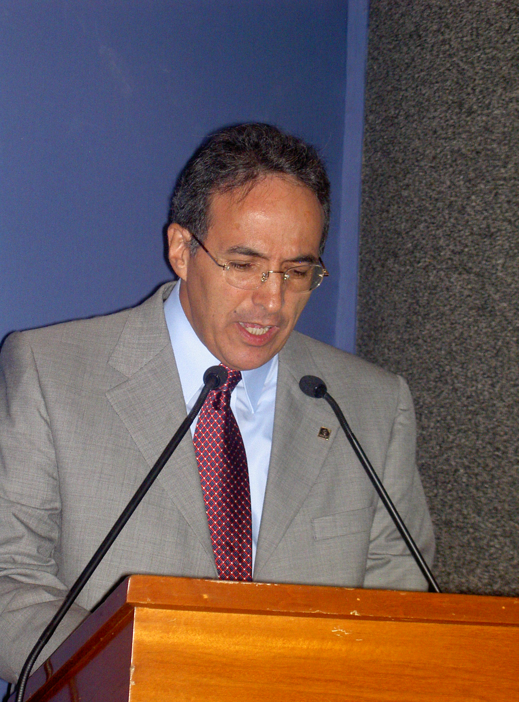 Mr. L. Torreblanca, CIATEG 15th UNIDO Leather and Leather products Industry Panel Leon Mexico 2005