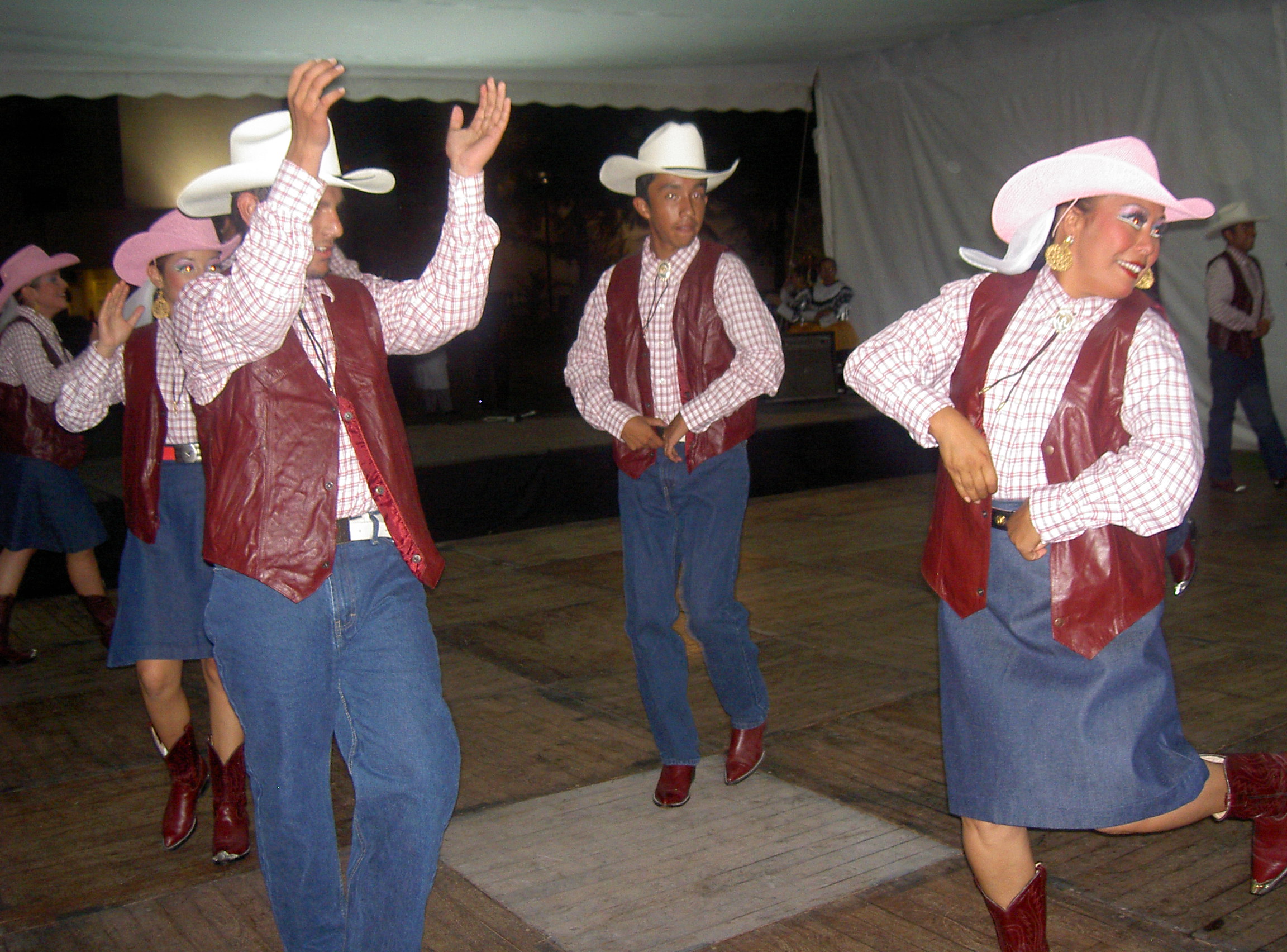 15th UNIDO Leather and Leather products Industry Panel Leon Mexico 2005