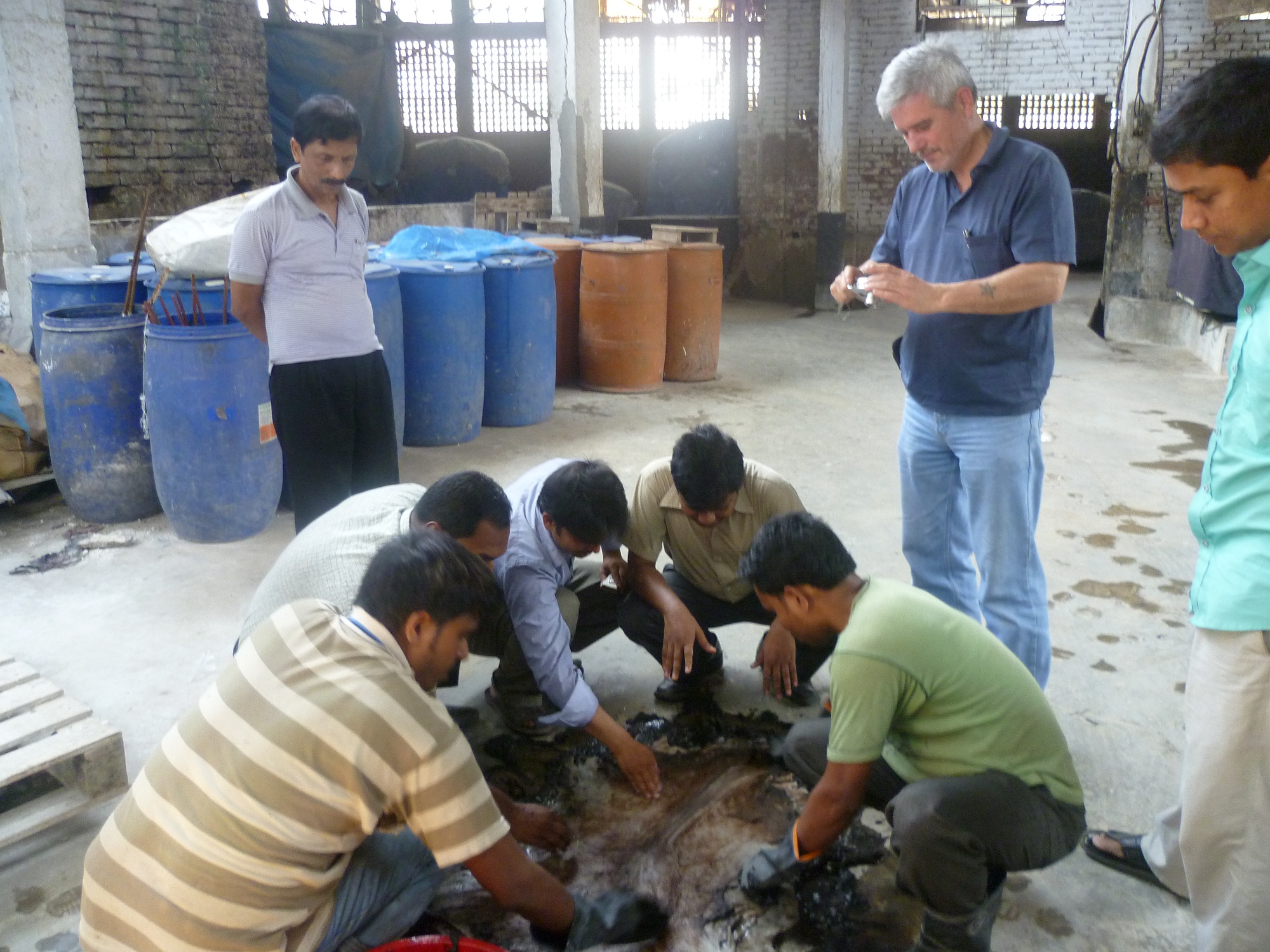 Inspection of pelt from the hair saving process UNIDO Har saving liming Hazaribagh leather Bangladesh