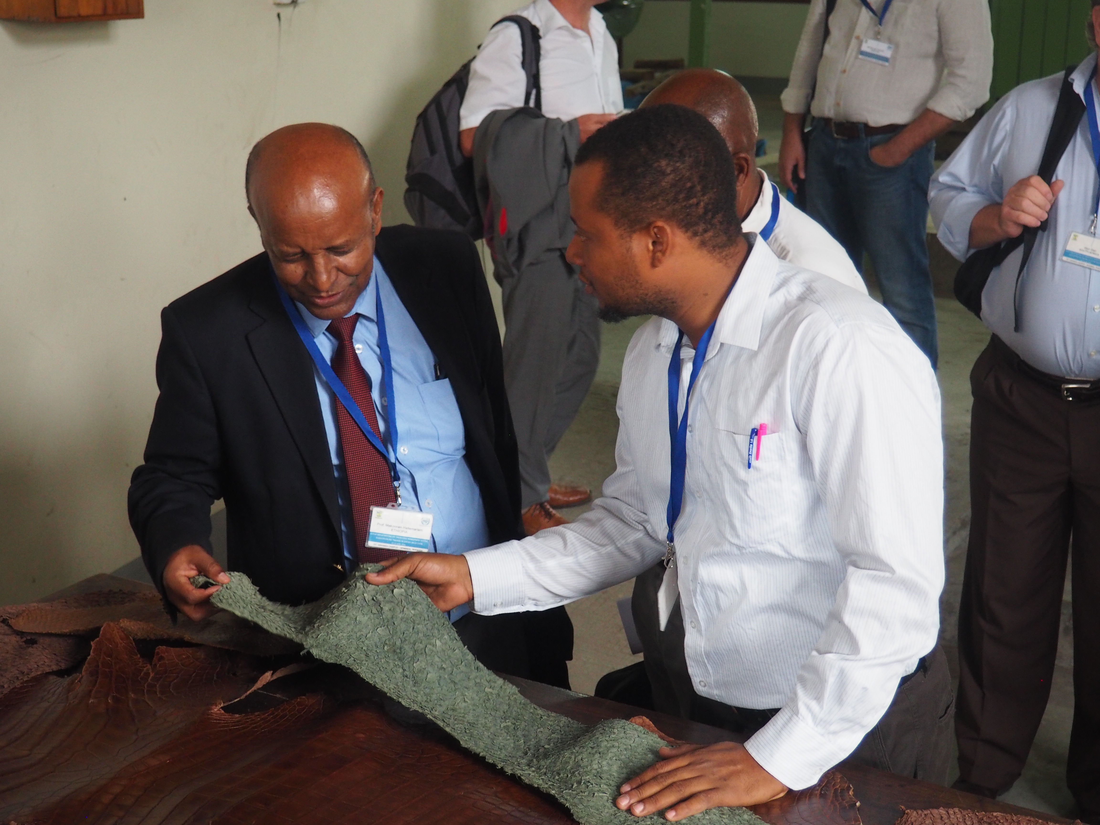 Participants during DIT visit