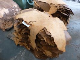 Common Finishing Plant, Kasur, leather cluster/Pakistan, UNIDO