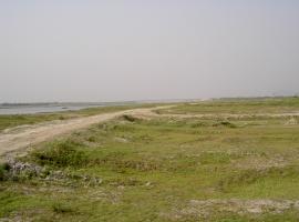 Savar - site selected for Tannery Estate Dhaka -  (2004)